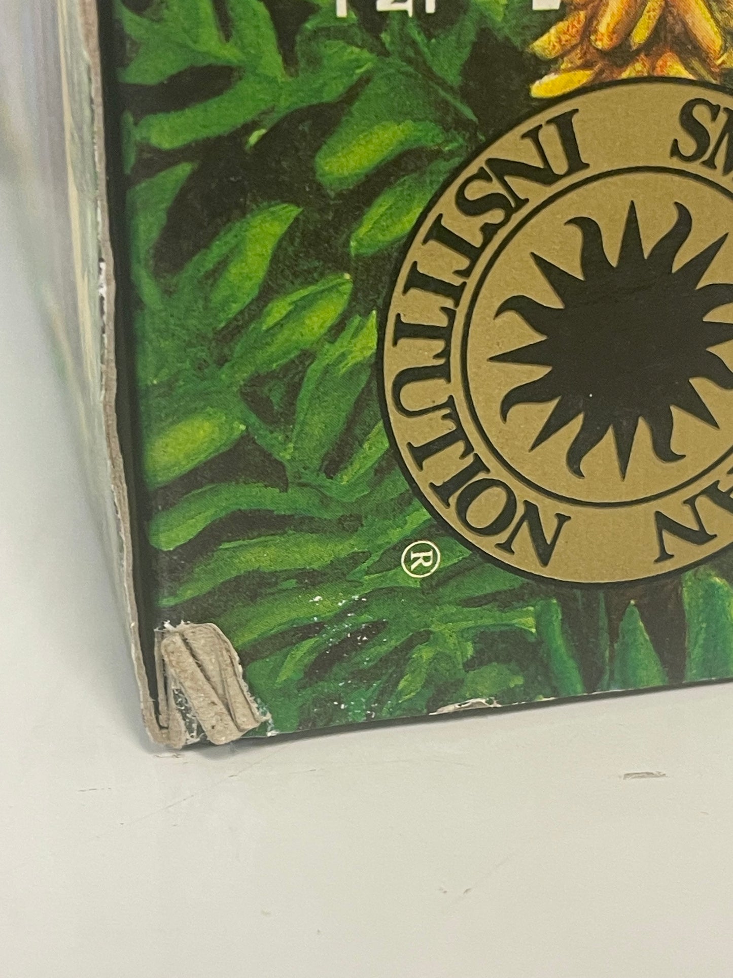 Dinosaur Collection Monoclonius & Pteranodon -Smithsonian Institution - NIB