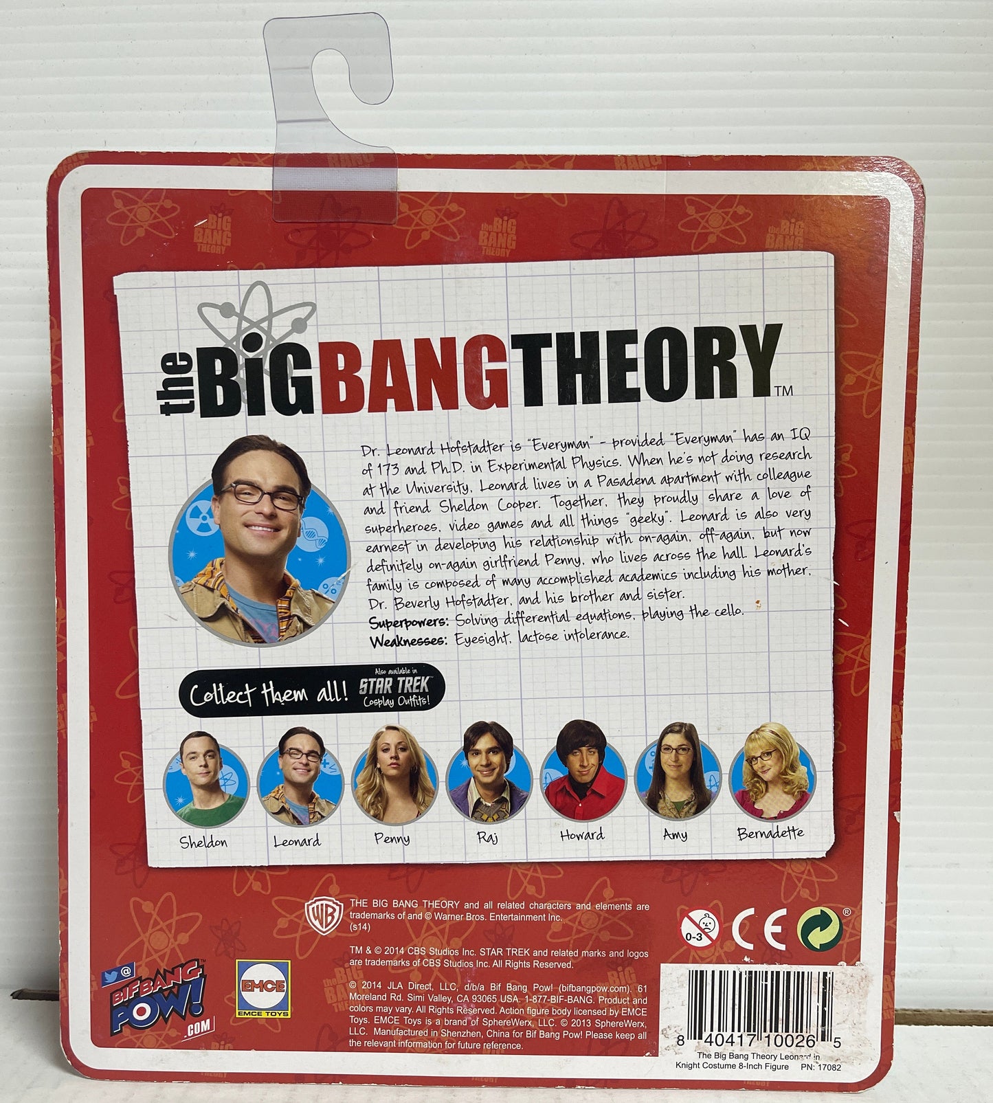 Big Bang Theory Leonard Hofstadter renaissance cosplay outfit