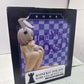 FREEing Koneko Toujou Bare Leg Bunny Painted Figure 1/4 High School DxD - SEALED