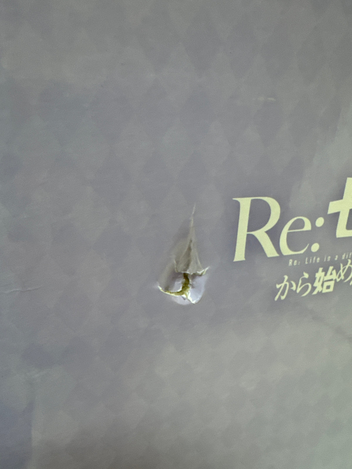 Re:Zero Starting Life in Another World Idol Ver. Set with Bonus Display Base WH