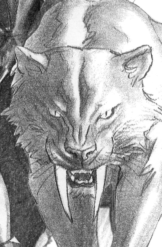 Black Cat #2 Alex Ross Timeless Full Art Sketch Variant