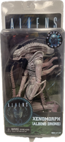 Aliens Xenomorph (Albino Drone)
