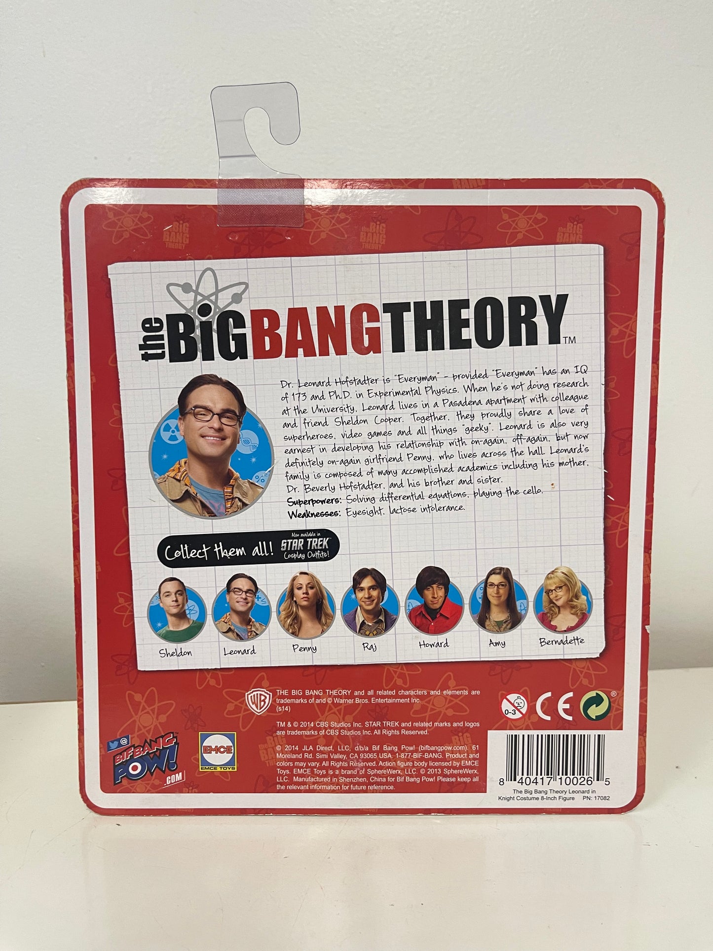 Big Bang Theory Renaissance Faire Cosplay Leonard Hofstadler