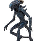 Alien Vs Predator 7″ Scale Action Figure Arachnoid Alien (Movie Deco)