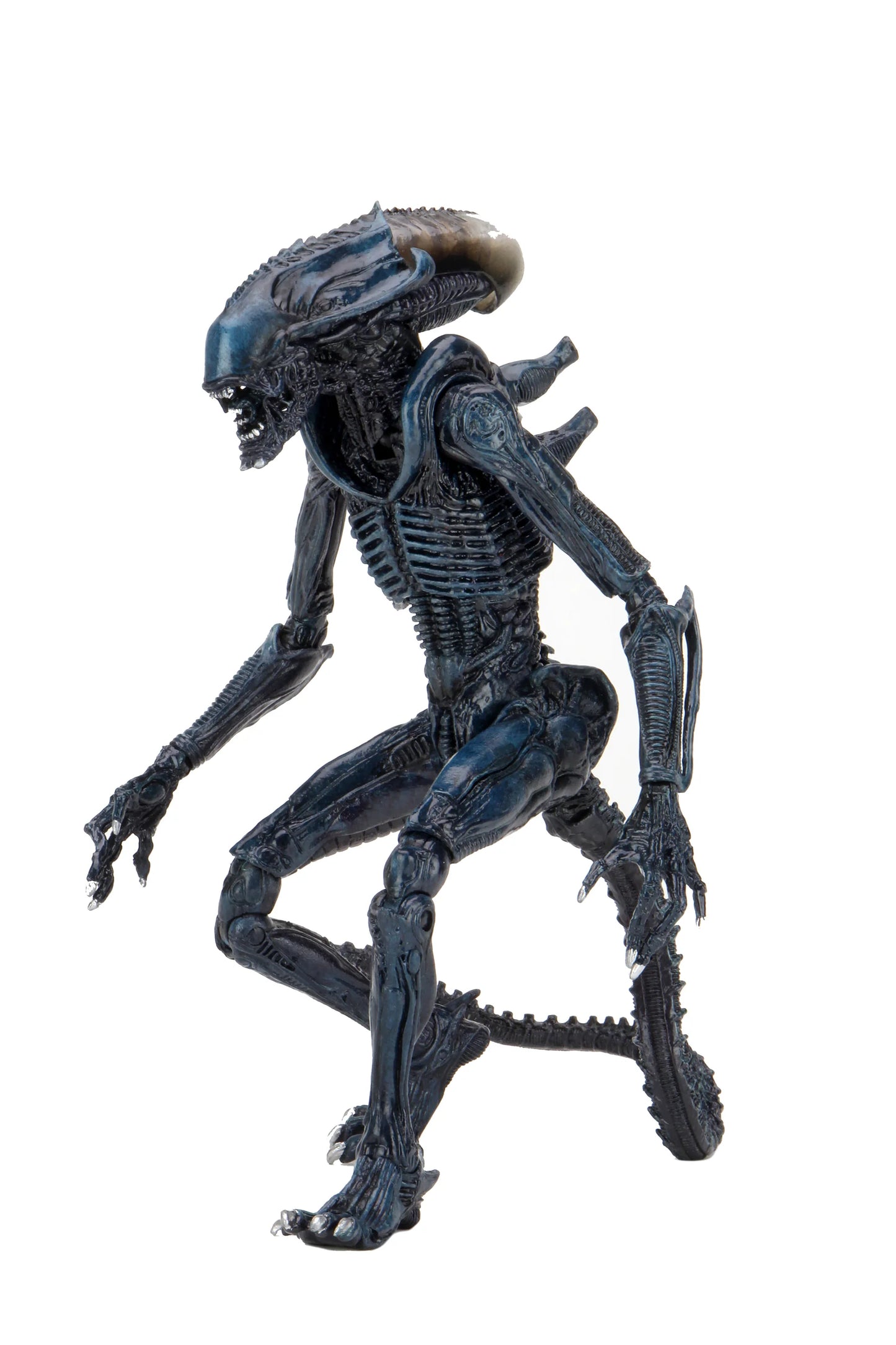 Alien Vs Predator 7″ Scale Action Figure Arachnoid Alien (Movie Deco)