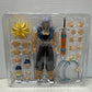 Warped Vengeance A Unbound Wrath 06A - Dragon Ball Z Trunks -Tonsen ARTTOYS - Open Box Complete