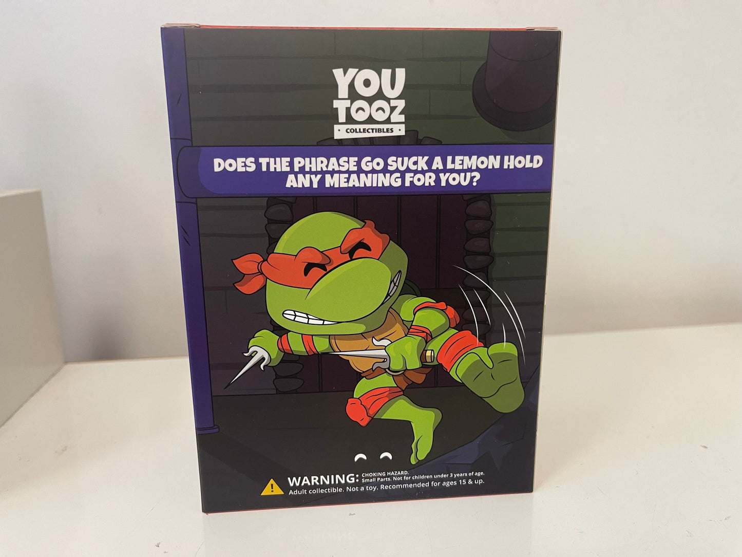 Teenage Mutant Ninja Turtles Raphael #3