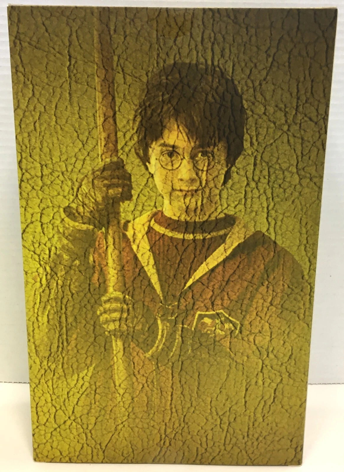HARRY POTTER QUIDDITCH VERSION - 1/6th Scale Figure - STAR ACE (SA0018)