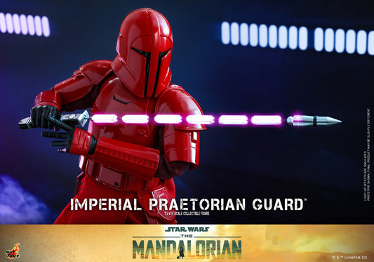 Imperial Praetorian Guard Sixth Scale Collectible Figure!
