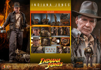 Indiana Jones Sixth Scale Collectible Deluxe Figure