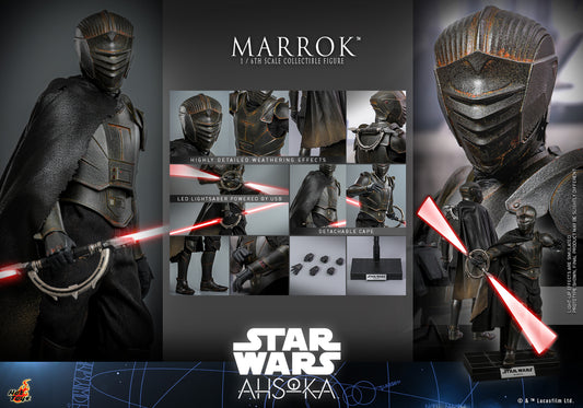 Marrok™ Sixth Scale Collectible Figure