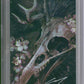 Locke & Key/The Sandman: Hell & Gone #1 CGC 9.8 (Signed by John Giang)