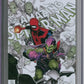 Amazing Spider-Man #49 (LGY #850) CGC 9.8 Bachalo Variant