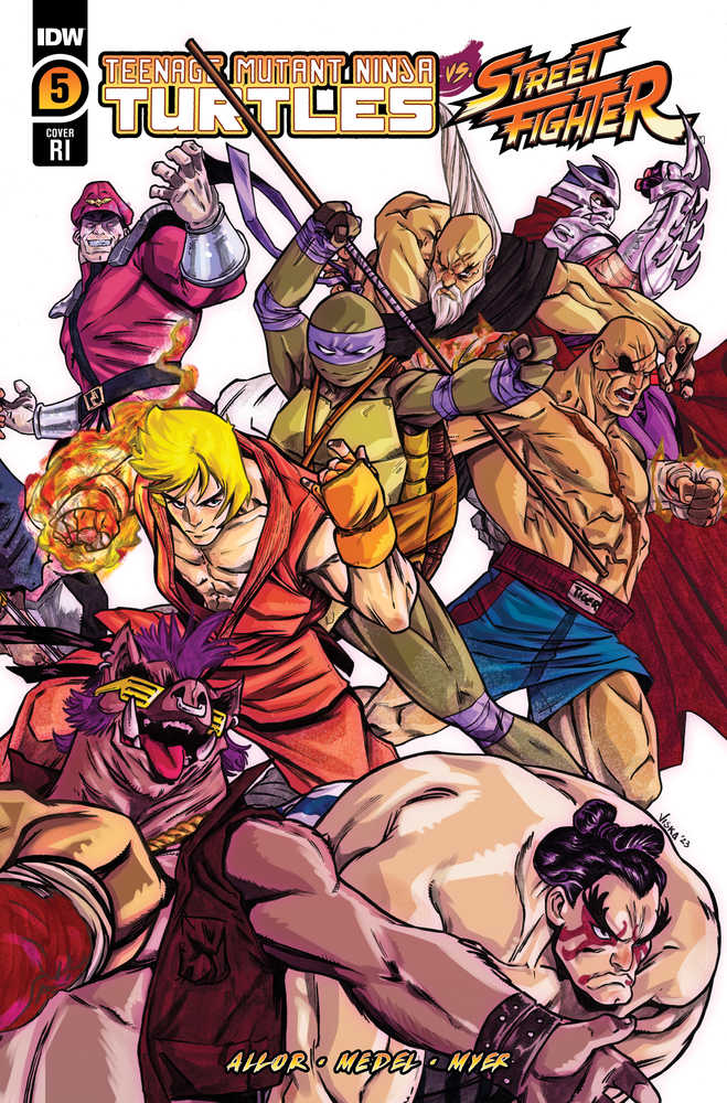 Teenage Mutant Ninja Turtles vs. Street Fighter #5 (Of 5) Cover D 25 Federici