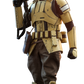 Star Wars Shoretrooper Sixth Scale Figure TMS031