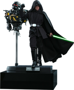 Luke Skywalker (Deluxe Version) Sixth Scale Figure TMS2 DX23