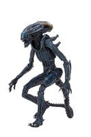 Alien Vs Predator 7″ Scale Action Figure Arachnoid Alien (Movie Deco)