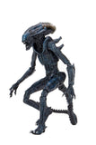 Alien Vs Predator 7″ Scale Action Figure Arachnoid Alien (Movie Deco)