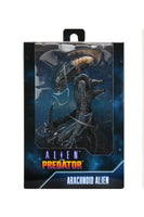 Alien Vs Predator 7″ Scale Action Figure Arachnoid Alien (Movie Deco)