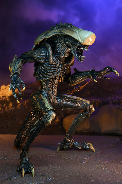 Alien Vs Predator 7″ Scale Action Figure Chrysalis Alien (Movie Deco)