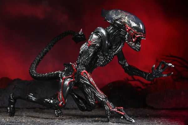 Aliens 7″ Scale Action Figure Kenner Tribute Ultimate Night Cougar Alien